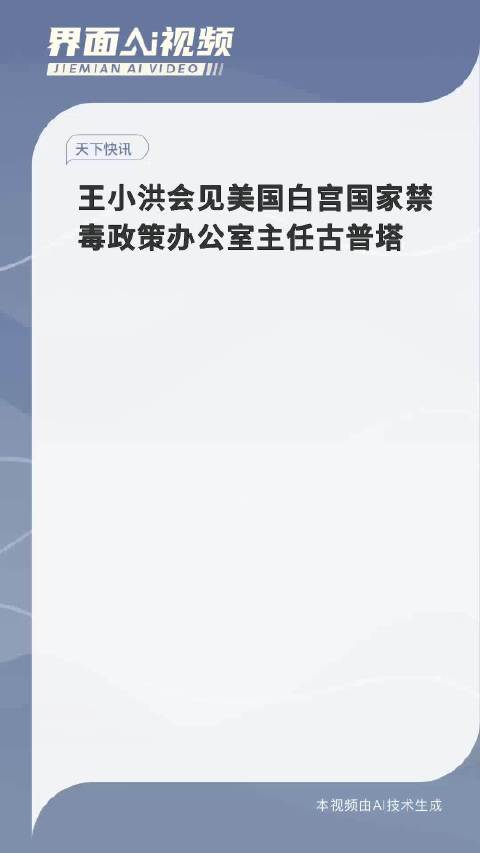 王小洪同美国白宫国家禁毒政策办公室主任古普塔视频通话